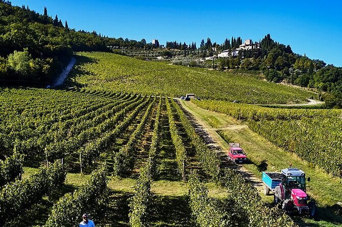 The Essence of Tuscany: Private Journey & Estate Winery Lunch - Why this private Chianti day feels different than day-trips
