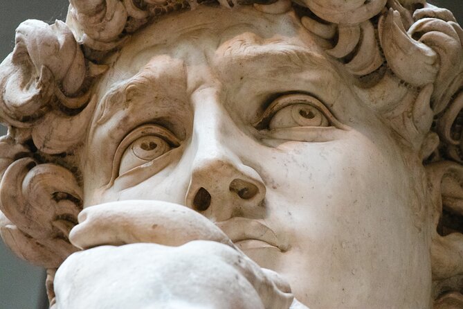 The Medici family and the Renaissance with a local art historian - Key points to know before you go