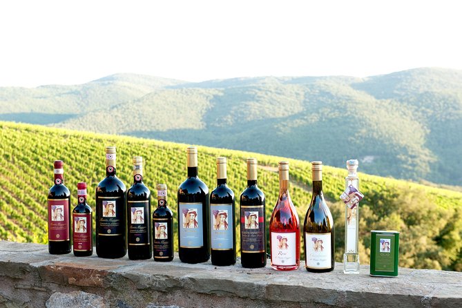 Tour and Tasting at an Organic Winery in the Heart of Chianti Classico Area - Key highlights worth planning around