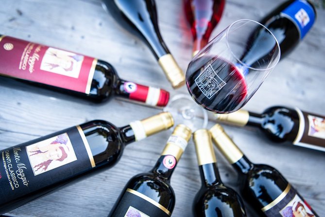 Tour and Tasting at an Organic Winery in the Heart of Chianti Classico Area - Fattoria di Montemaggio: a hands-on organic Chianti Classico stop