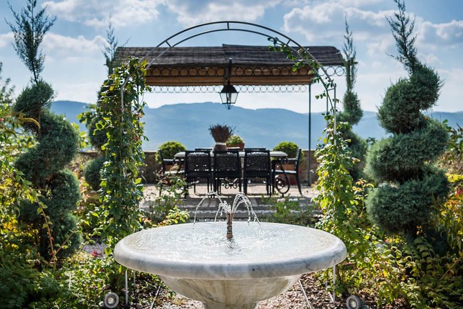 Tour and Tasting at an Organic Winery in the Heart of Chianti Classico Area - Cellar walk: turning grape reality into wine in your glass