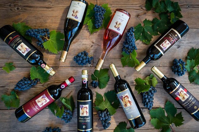 Tour and Tasting at an Organic Winery in the Heart of Chianti Classico Area - The tasting: five wines, plus olive oil, bread, cheese, and salami