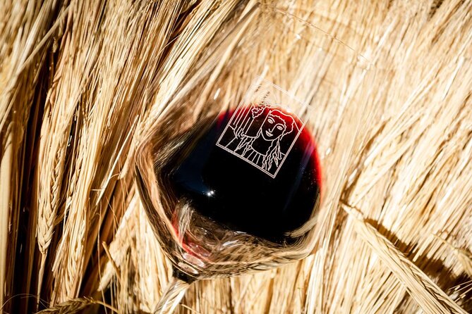 Tour and Tasting at an Organic Winery in the Heart of Chianti Classico Area - Price and value: is $48.36 worth your time?