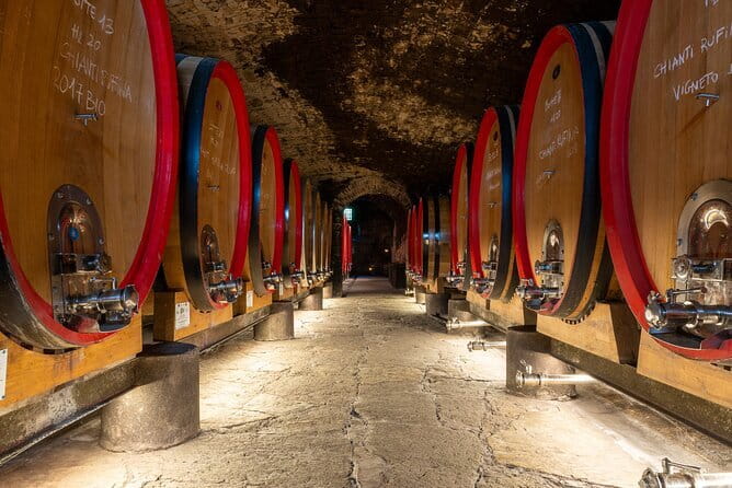 Tour of 900year old secret cellars + tasting of 3 wines and bread with EVO oil - Inside the 900-year-old private castle and wine cellars