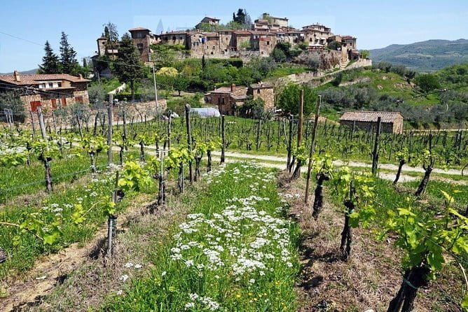Tour of Chianti for small groups departing from Florence or surroundings - Key highlights at a glance