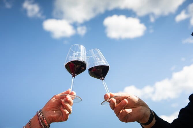Triumph of Flavors, Winery Tour, Organic Wines in Panzano in Chianti - Key points that make this tour worth your time