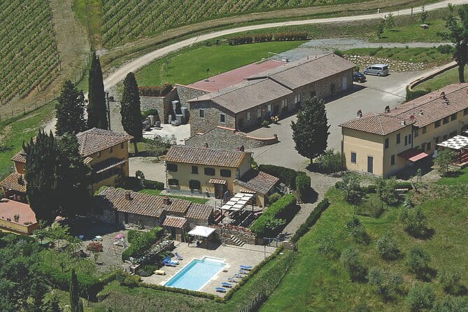 Triumph of Flavors, Winery Tour, Organic Wines in Panzano in Chianti - Andrea’s wine lesson: turning Chianti into something you understand