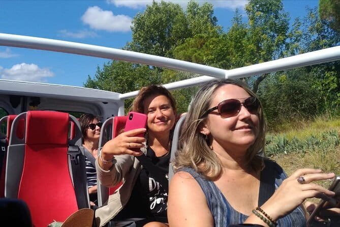 Triumph of Flavors, Winery Tour, Organic Wines in Panzano in Chianti - Organic wines in Chianti: what to pay attention to