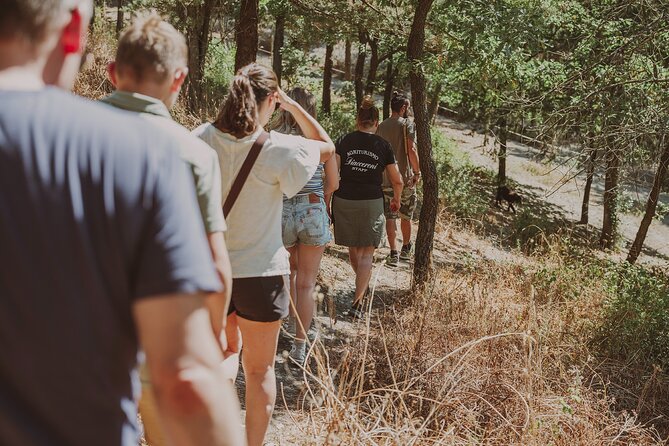 Truffle Hunt in Tuscany - Weather changes the plan, but not the idea
