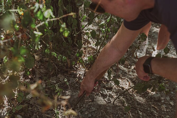 Truffle Hunt in Tuscany - Meet the truffle team: Elio and the dogs