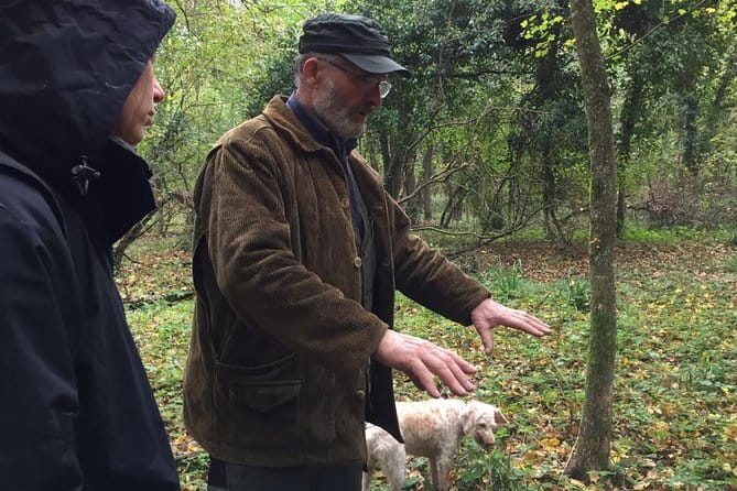 Truffle hunt, Lunch, Horse riding, a top half-day near Florence - When the dogs find the truffles: what the hunt feels like