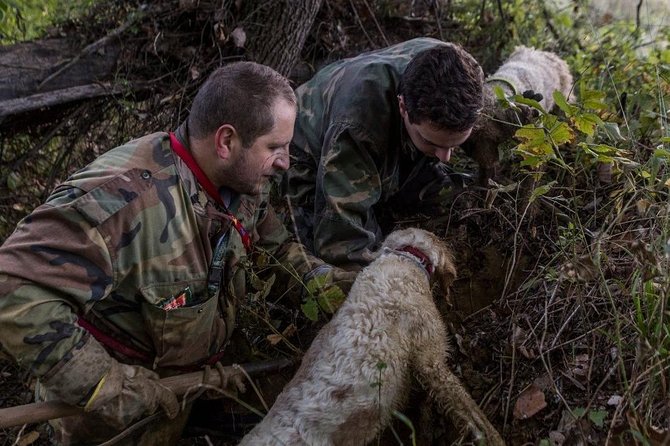 Truffle hunting - How the dog-led hunt actually works in Tuscany