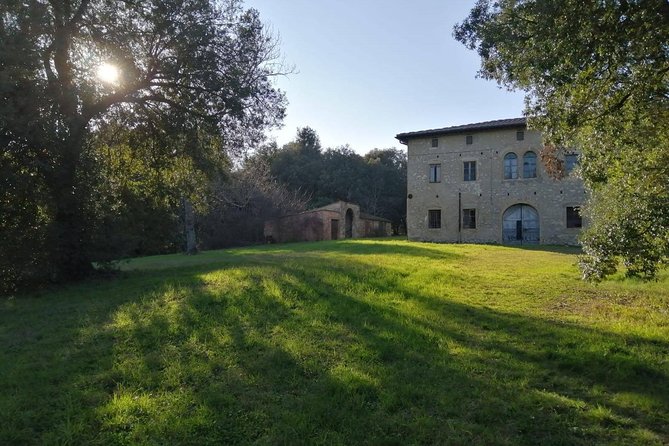Truffle hunting - The countryside part: where you’ll be searching