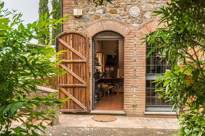Truffle Hunting and Cooking Class - Wine and olive oil tasting with views of the hills
