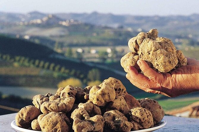 Truffle hunting and lunch experience, with Vinci and winery. - Vinci for Leonardo: Casa Natale and a Gallery Visit
