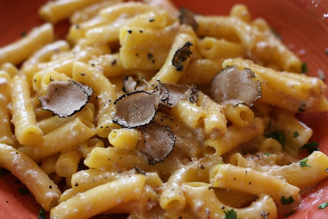 Truffle hunting and lunch experience, with Vinci and winery. - Price and Value: What $572 Buys You in Real Life
