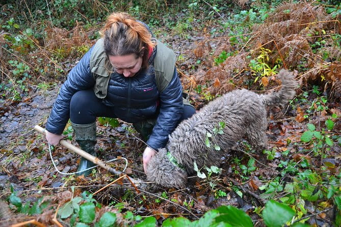 Truffle Hunting Experience with Lunch in San Miniato - Truffle Hunting With Francesca and Her Dog: What You’ll Actually Do