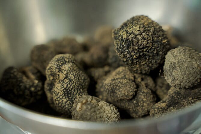 Truffle hunting + gourmet tasting (transfer included) - Who should book this tour (and who might skip it)