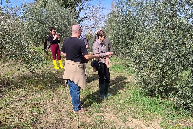 Truffle Hunting in Chianti, pasta class and lunch - Price and value: what $191.72 per person actually buys