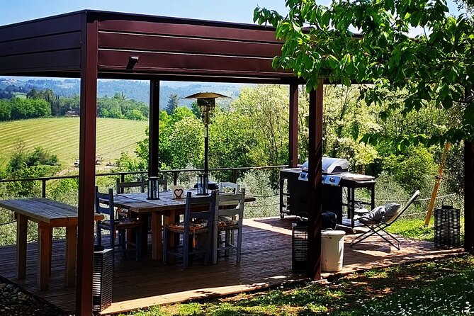 Truffle Hunting in Chianti, pasta class and lunch - Should you book this truffle hunt and pasta class in Chianti?