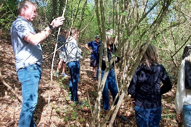 Truffle Hunting in Chianti, pasta class and lunch - The 45-minute hunt: what you do, what you learn, and how to get good at it