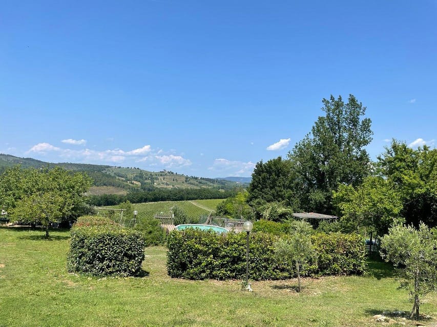 Truffle hunting in Chianti with pasta cooking class & lunch - Quick hits before you go
