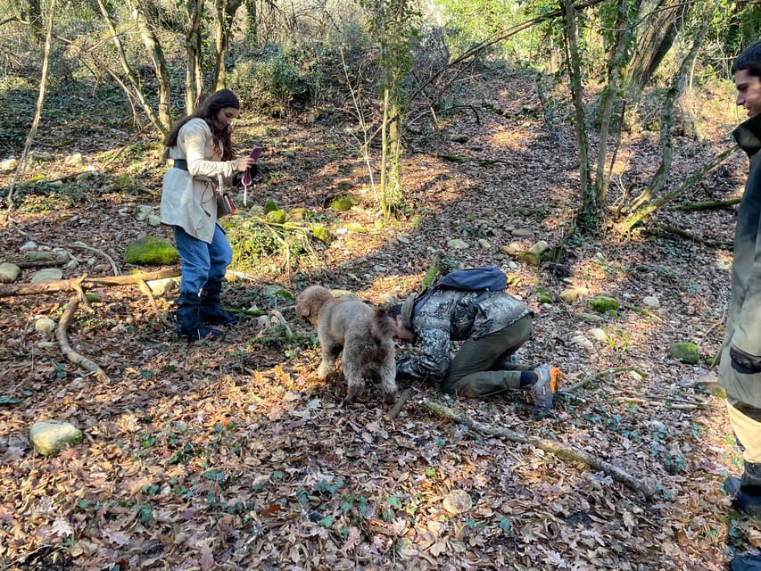 Truffle hunting in Chianti with pasta cooking class & lunch - Where this Chianti truffle day fits in