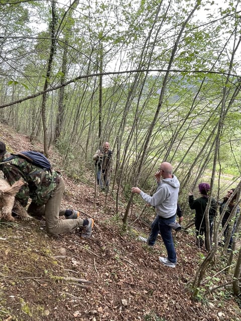 Truffle hunting in Chianti with pasta cooking class & lunch - Price and value: is $181.26 per person fair?