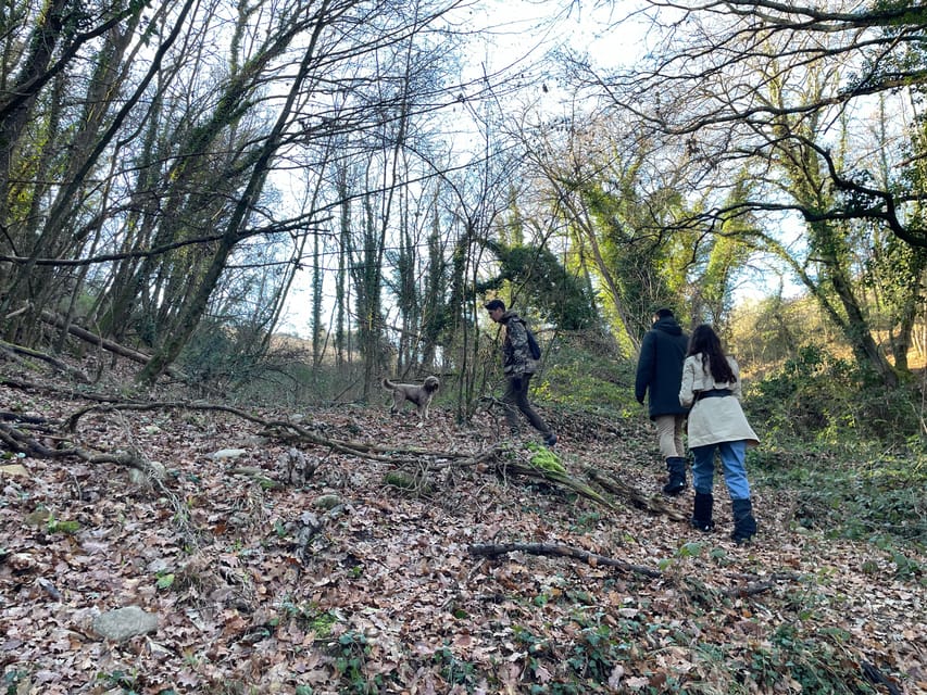 Truffle hunting in Chianti with pasta cooking class & lunch - Truffle hunting in the property forest (the good part)