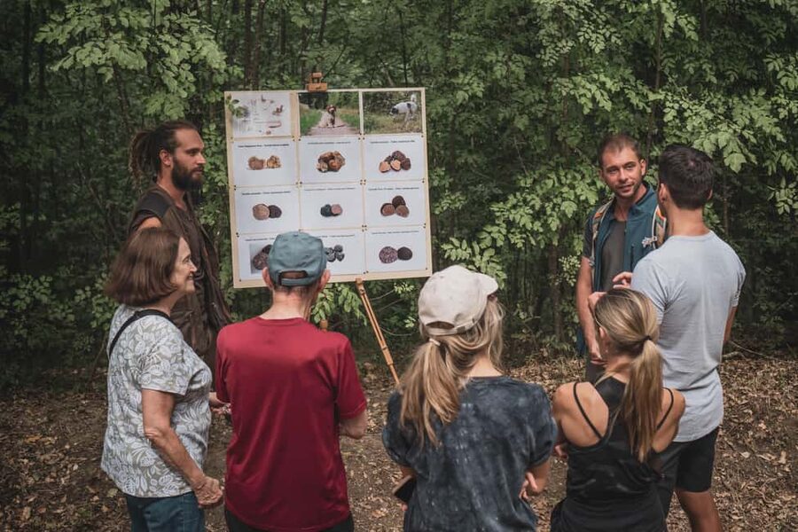 Truffle Hunting in San Gimignano - The Intro Lesson: How Truffle Hunting Works (Without Magic)