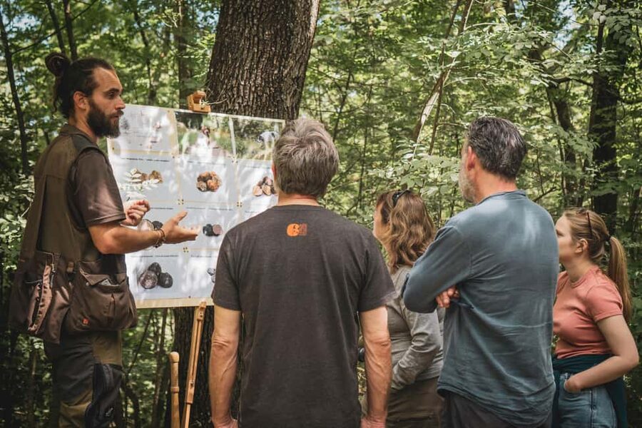 Truffle Hunting in San Gimignano - Price and Value: What $106 Buys You