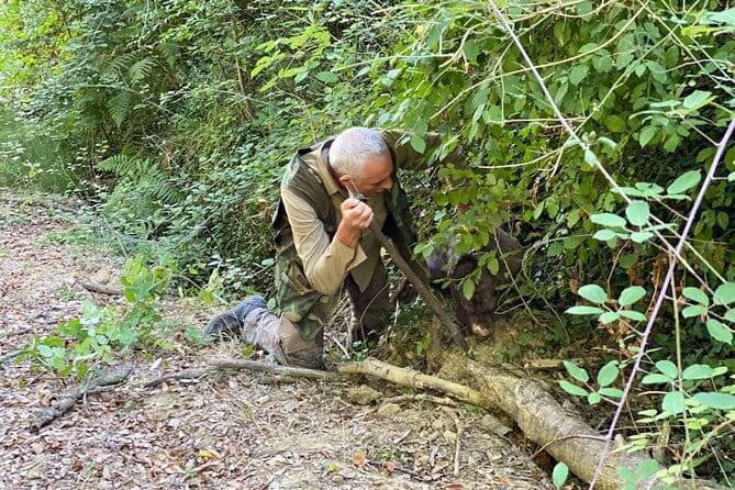 Truffle Hunting in Tuscany (private tour) - The Florence-to-Tuscany drive that sets the tone