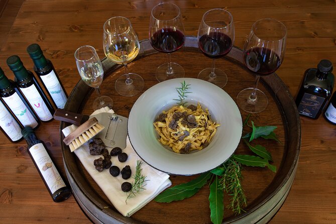 Truffle Hunting & Truffle Cooking Class - San Gimignano’s truffle day: what makes this experience click