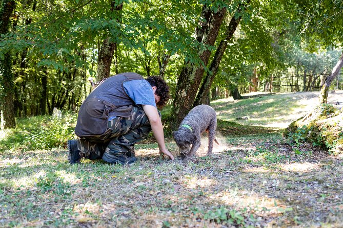 Truffle Hunting & Truffle Cooking Class - Timing, duration, and how to plan your day