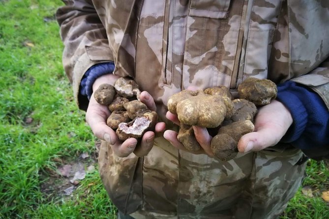 Truffle hunting - Meet-up spot and practical logistics (Via Giotto)