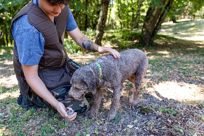 Truffle Lunch & Hunting Experience in San Gimignano - The Truffle Lunch Menu: Courses That Don’t Hold Back