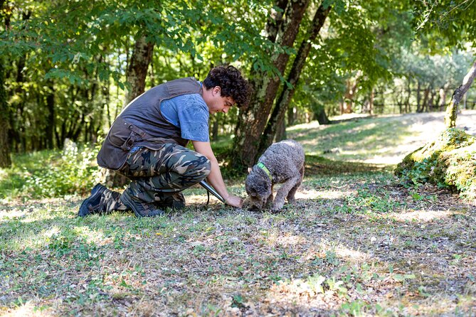 Truffle Lunch & Hunting Experience in San Gimignano - Practical Stuff That Can Make or Break Your Morning