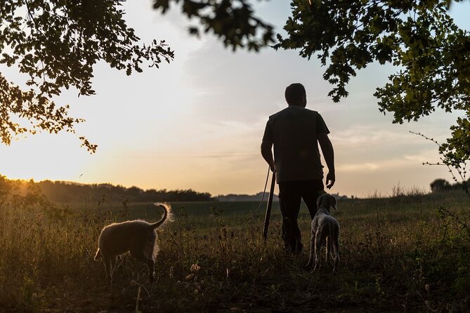 Truffle Lunch & Hunting Experience in San Gimignano - Who Should Book This Truffle Hunt Lunch in San Gimignano?