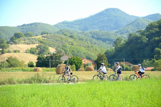 Tuscan countryside bike tour and food tasting - Why Vicchio and the Mugello hills feel like real Tuscany