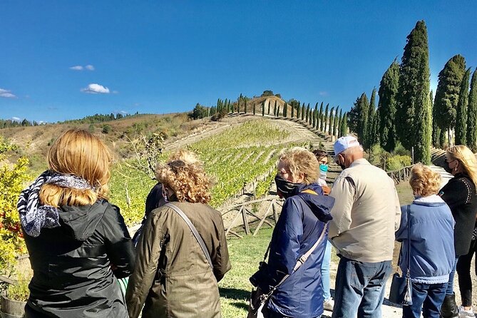 Tuscany and Wine Tasting Private Tour from Livorno - What’s included (and what you pay) so there are no surprises
