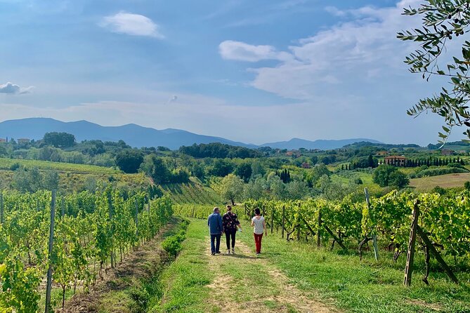 Tuscany and Wine Tasting Private Tour from Livorno - Best fit: who will love this Tuscany-from-Livorno day