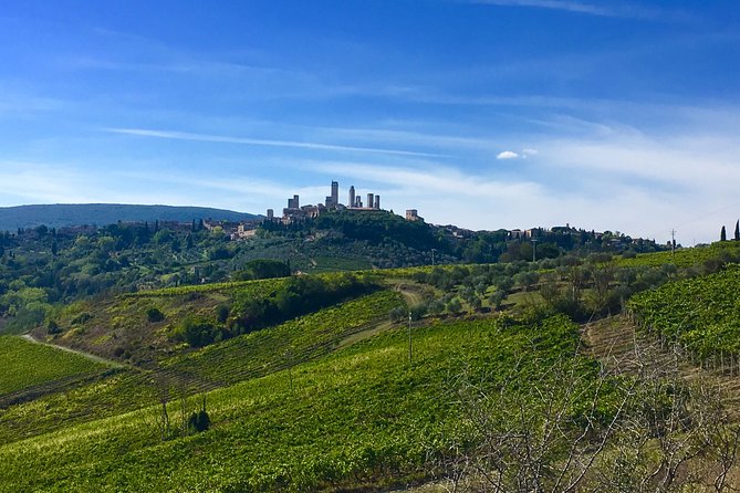 Tuscany and Wine Tasting Private Tour from Livorno - Volterra: Etruscan roots, alabaster, and those famous views