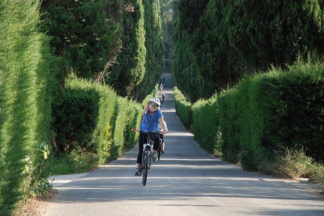 Tuscany Bike Tours Through the Chianti Hills with Wine Tasting - The Ride Through Olive Groves: What the Route Feels Like