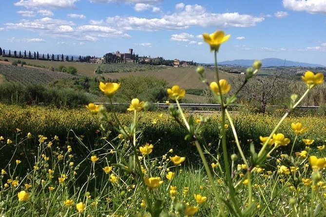 Tuscany Bike Tours Through the Chianti Hills with Wine Tasting - E-Bikes vs Regular Bikes: Choose Your Comfort Level