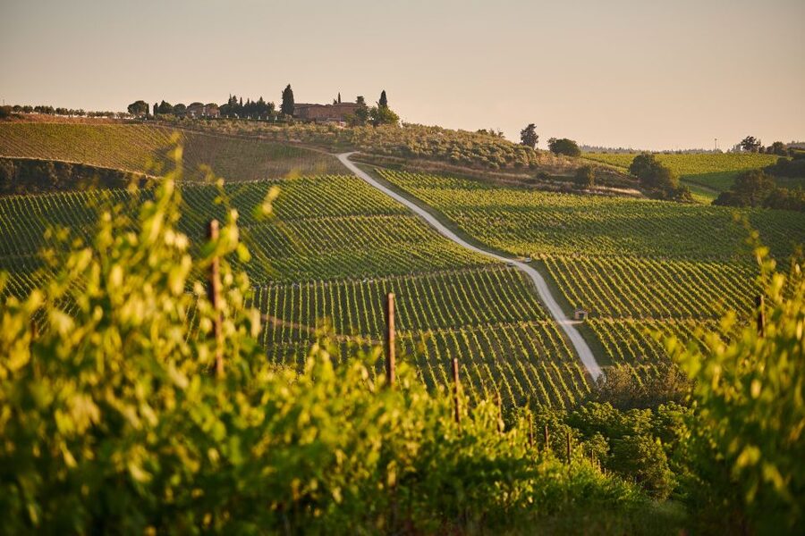 Tuscany: Chianti Wine Paradise Tour - San Gimignano: Medieval Towers, a Short Stroll, and a Big Mood Shift