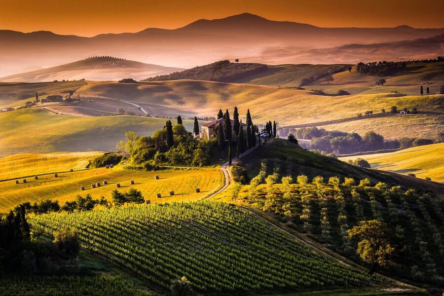 Tuscany: Chianti Wine Paradise Tour - The Value Question: Is $441.81 Worth It?