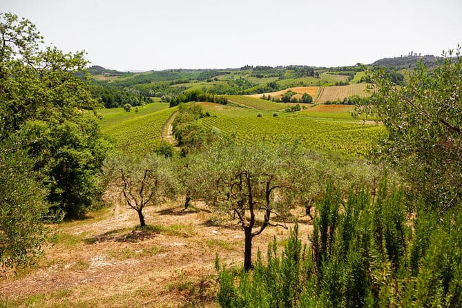 Tuscany Day Trip from Florence: Siena, San Gimignano, Pisa and Lunch at a Winery - How the morning works from Santa Maria Novella (and why it matters)