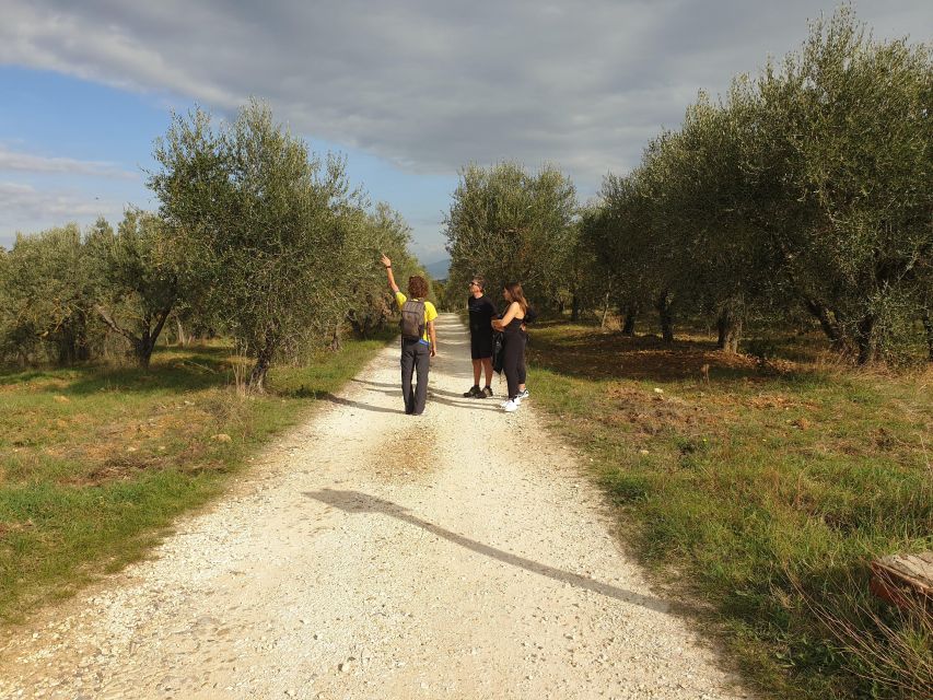 Tuscany Hills Bike Tour with Lunch at farm and Wine Tasting - Learning about wine and olive oil (without turning it into a lecture)