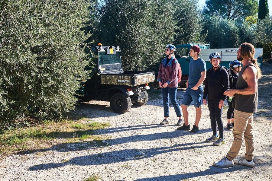 Tuscany Hills Bike Tour with Lunch at farm and Wine Tasting - What’s included (and what you’ll likely pay extra for)