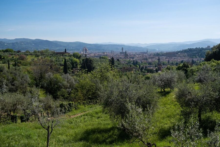 Tuscany Hills Bike Tour with Lunch at farm and Wine Tasting - The ride profile: 35 km, 460 m gain, and the e-bike choice